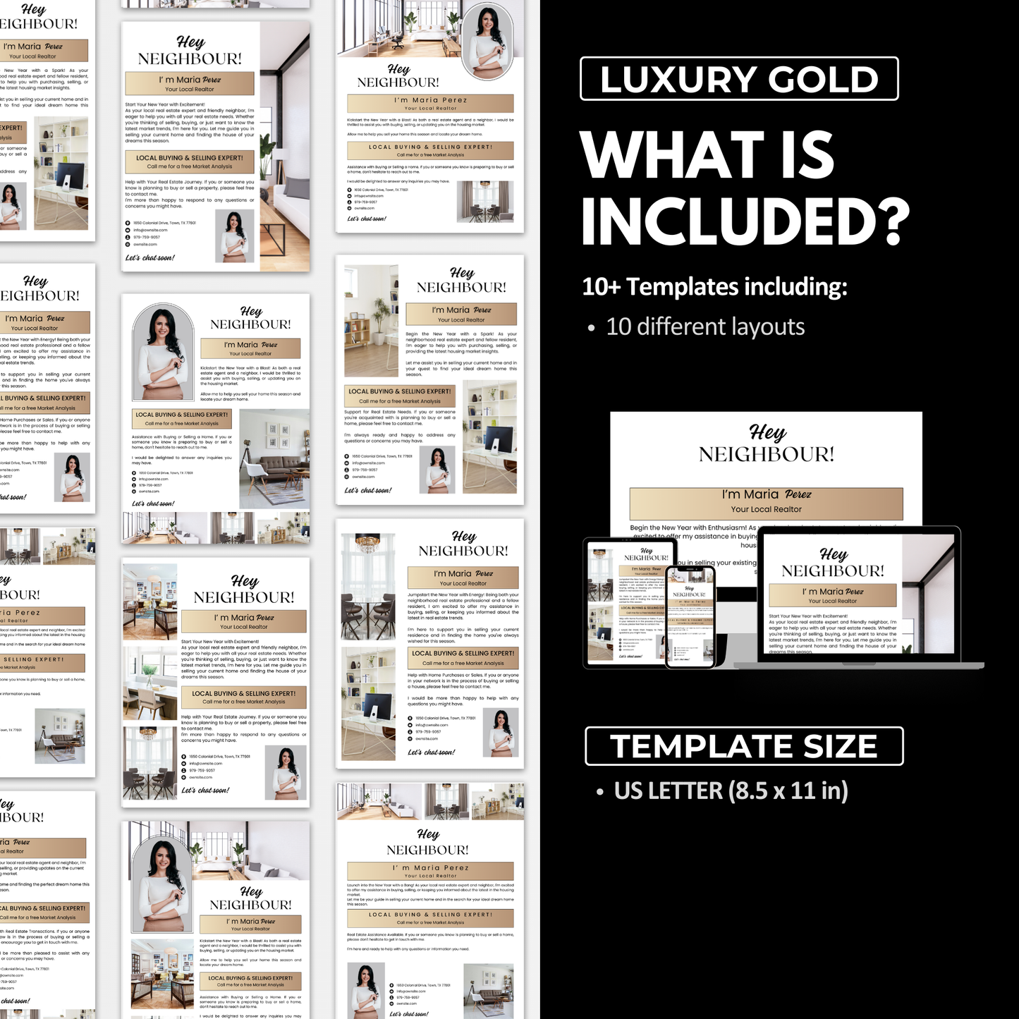 introduction flyer template bundle-luxury gold(what is included)